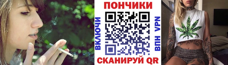 Купить  Ступино  Бошки Шишки ГИДРОПОН 